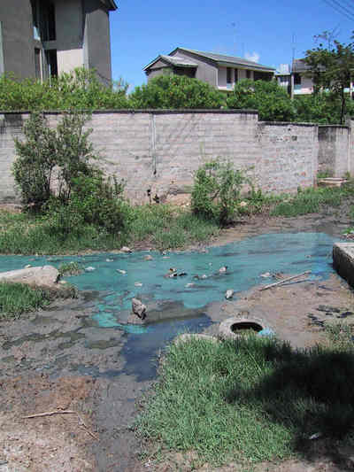 Contaminated Surface Water